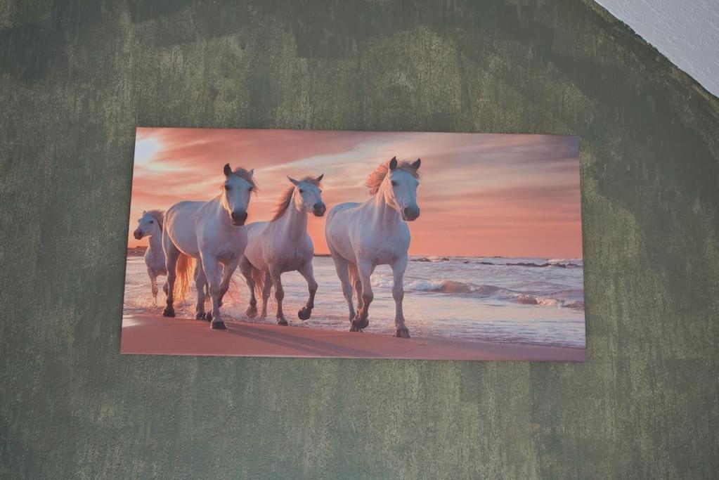 Le Fer A Cheval 4 Pers. Confort Plage 乌尔加特 外观 照片